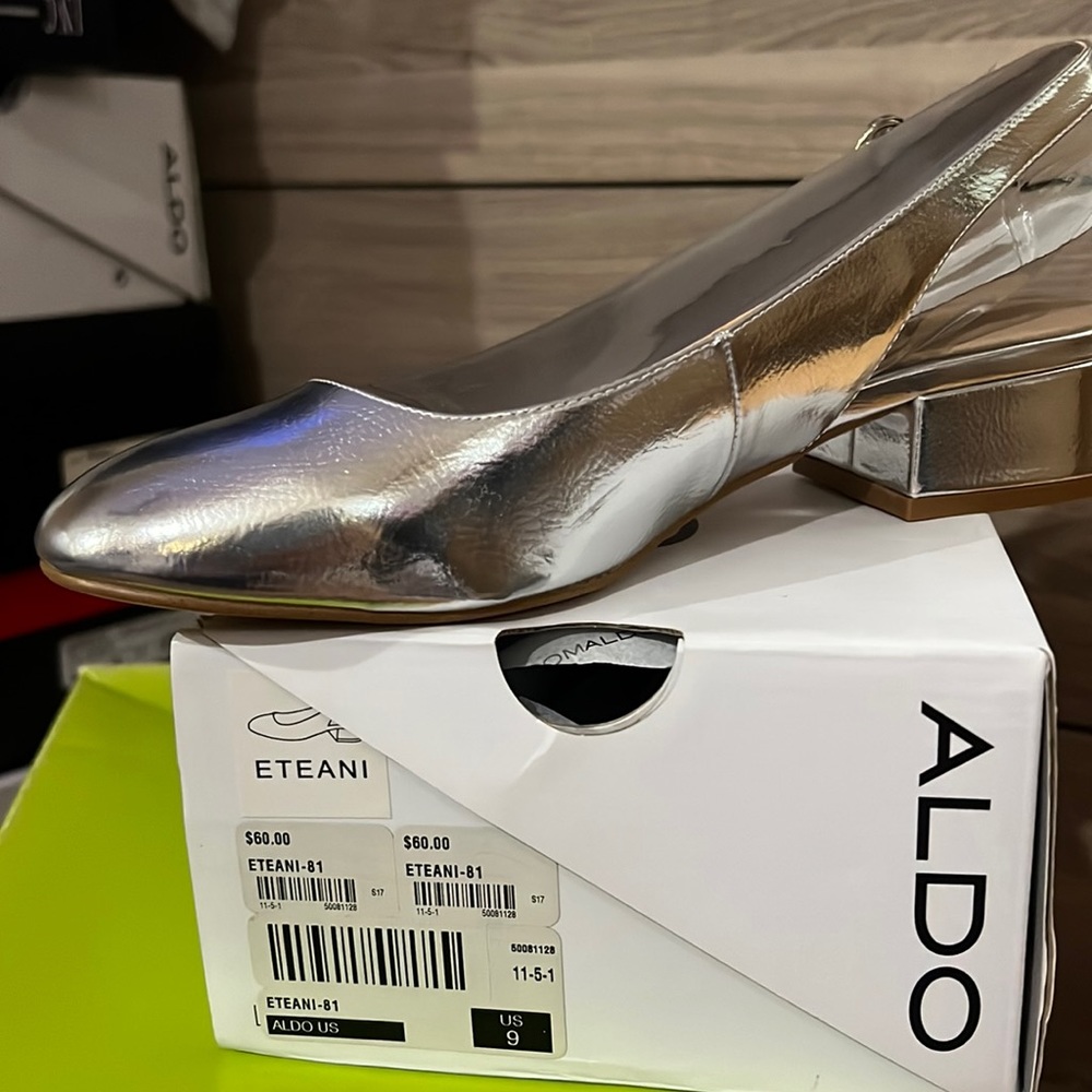 Silver Shoes
